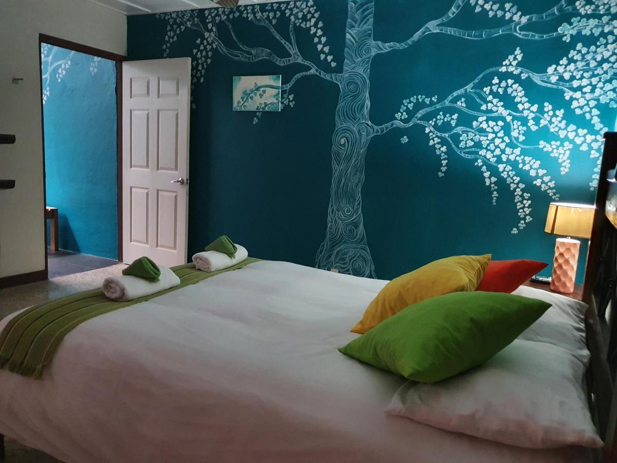 Turrialba Bed & Breakfast エクステリア 写真