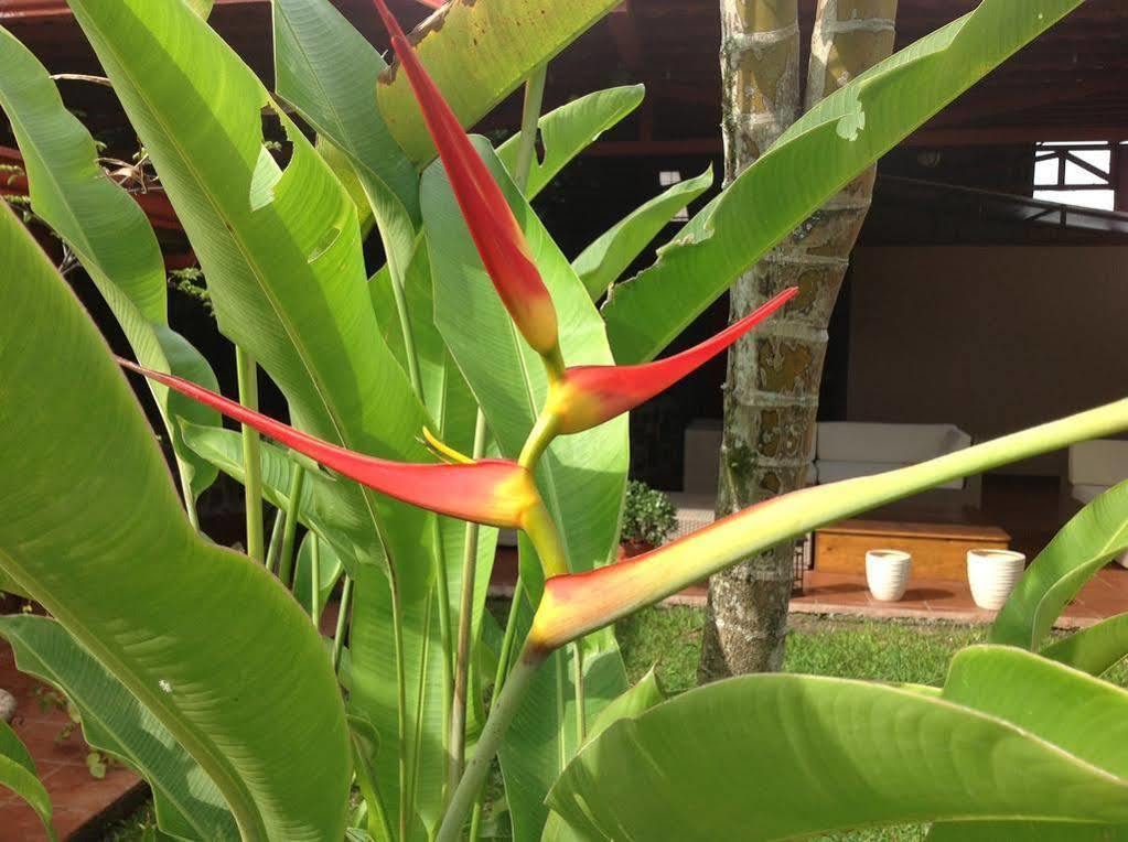 Turrialba Bed & Breakfast エクステリア 写真