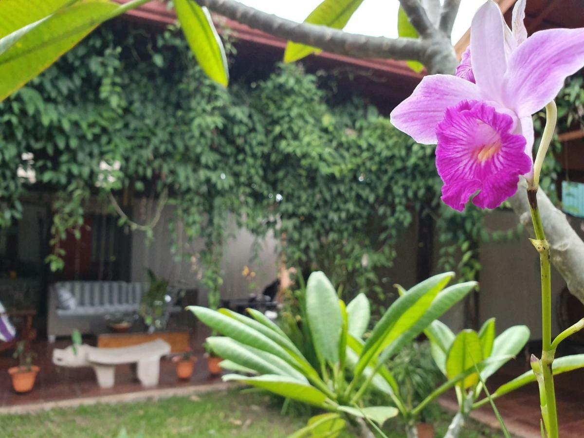 Turrialba Bed & Breakfast エクステリア 写真