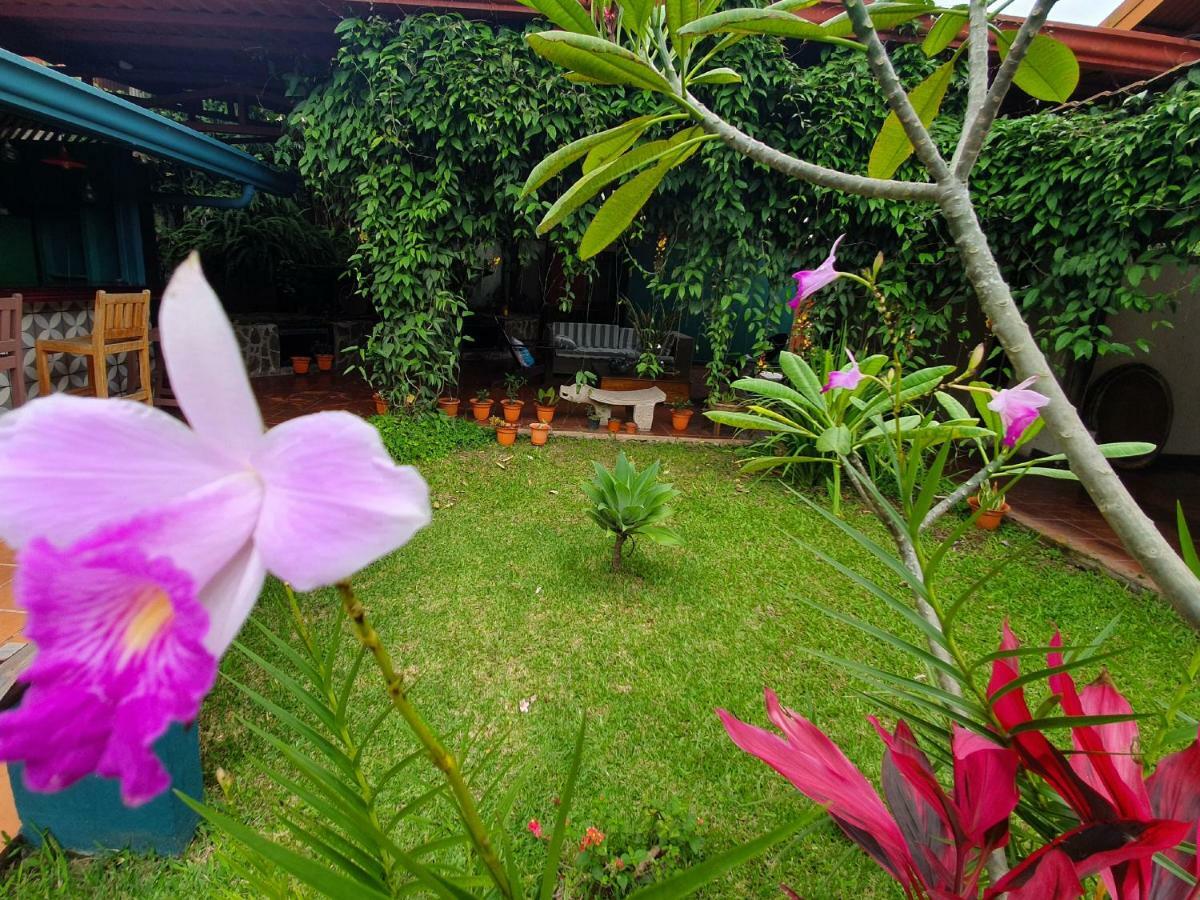 Turrialba Bed & Breakfast エクステリア 写真