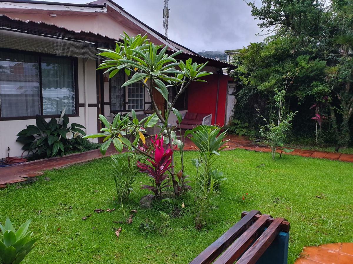 Turrialba Bed & Breakfast エクステリア 写真